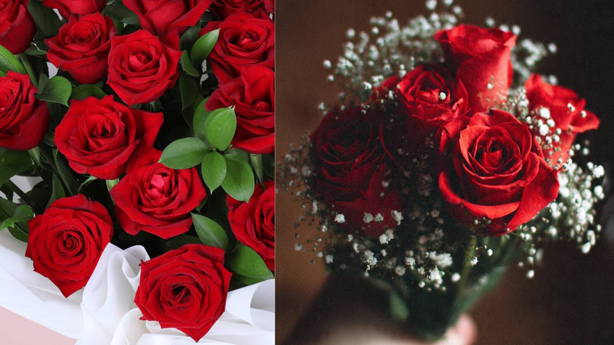 ವಾಲೆಂಟೈನ್ಸ್ ಡೇ ದಿನ ಹತ್ತಿರ ಬಂದೆ ಬಿಡ್ತು - ಯಾವ ಬಣ್ಣದ ಹೂವು ಏನೆಲ್ಲಾ ಸೂಚನೆ ಕೊಡುತ್ತವೆ ನೋಡಿ!!