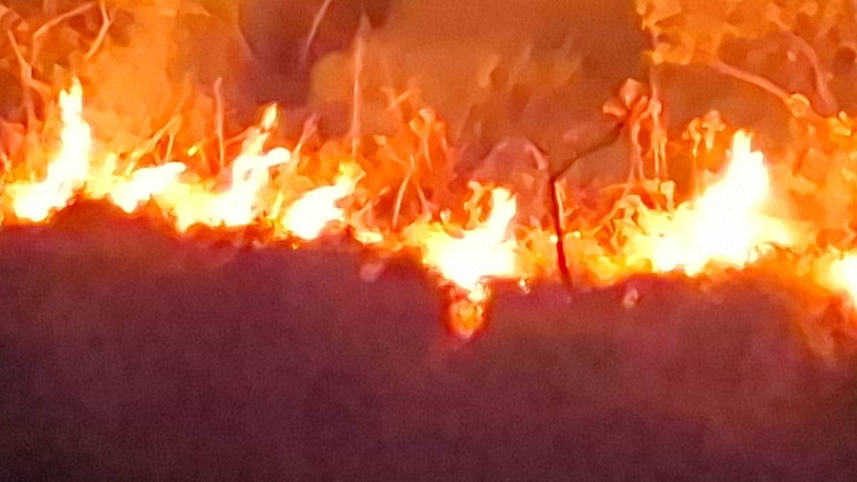 ಚಾರ್ಮಾಡಿ ಘಾಟ್‌ನಲ್ಲಿ ಬಾರಿ ಕಾಡ್ಗಿಚ್ಚು - ಪ್ರವಾಸಿಗರು ಇಂತಹ ತಪ್ಪುಗಳ ಮಾಡಲೇಬಾರದು!!