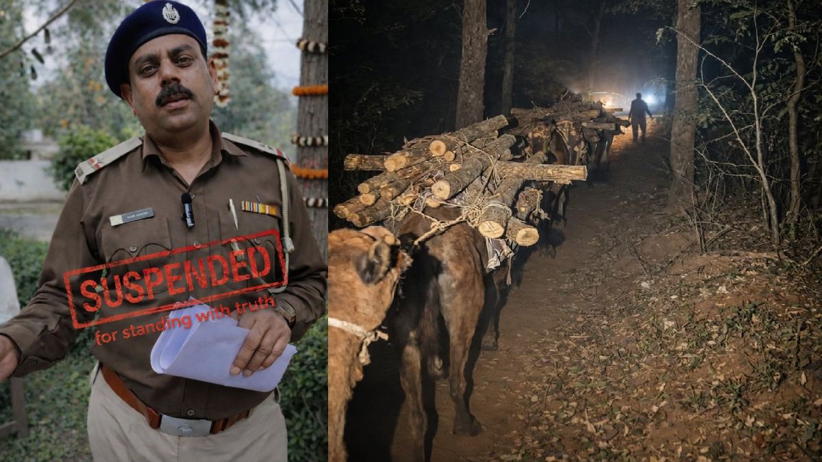 Panchkula’s Khair Forest Mafia: Illegal Logging and Smuggling Network Exposed