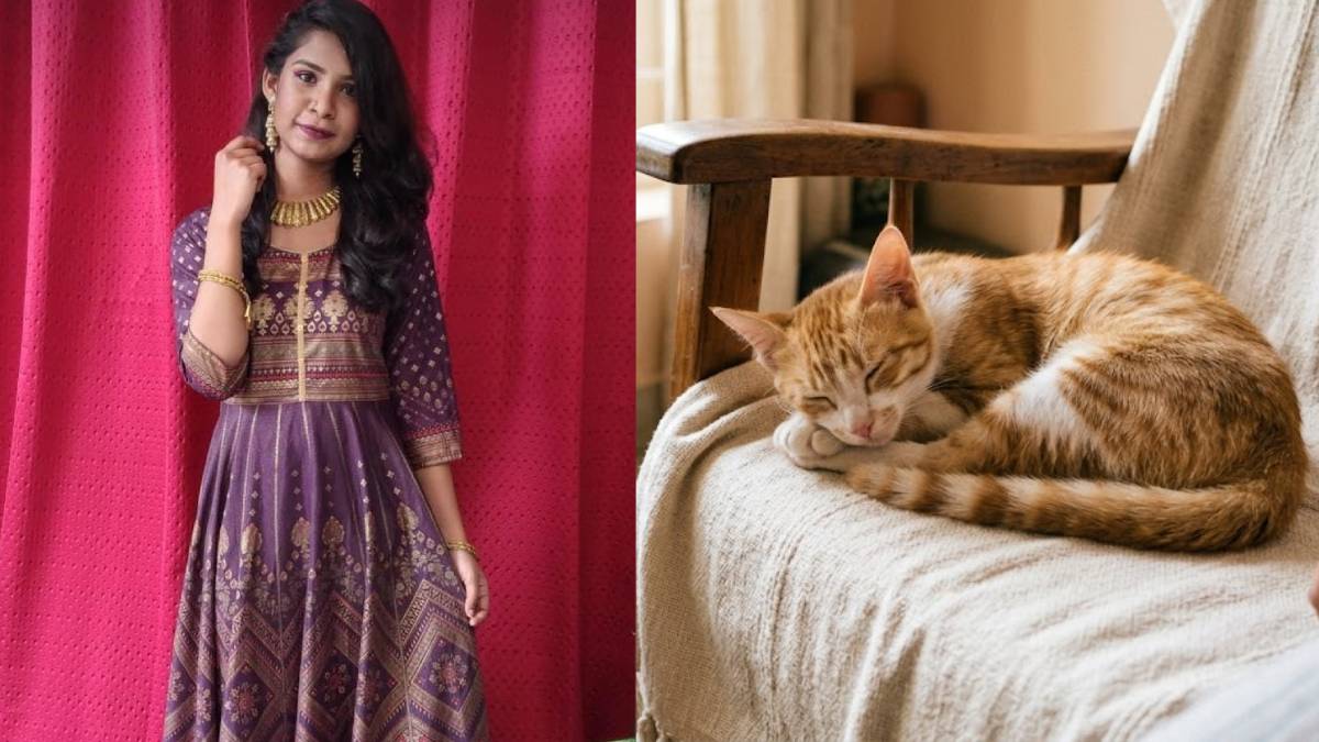 ಪೆಟ್ ಬೆಕ್ಕಿನ ಪ್ರೀತಿ – ಹೈದರಾಬಾದ್‌ನಲ್ಲಿ ದುರಂತ ಅಂತ್ಯ!!