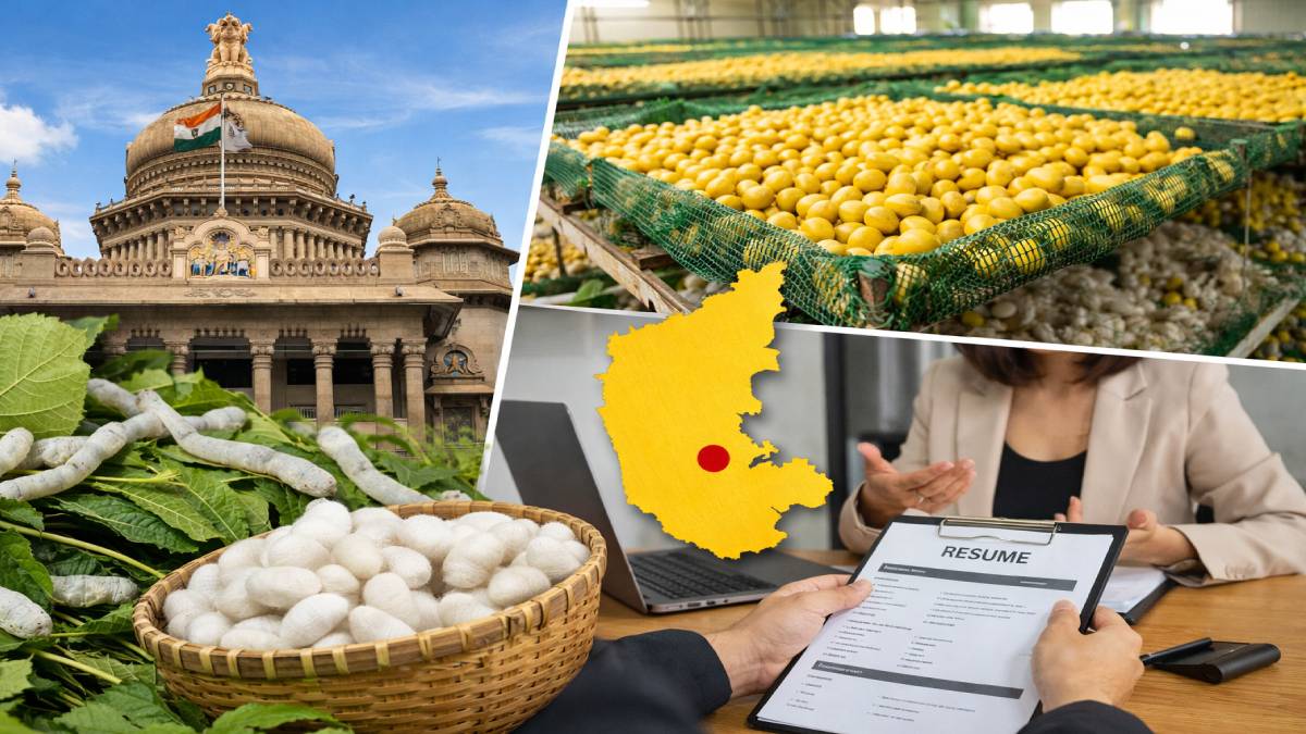 ರೇಷ್ಮೆ ಮಂಡಳಿಯಲ್ಲಿ 80 ಅಸಿಸ್ಟೆಂಟ್ ಹುದ್ದೆಗಳ ನೇಮಕಾತಿ - 21,000 ಸಂಬಳದ ಜೊತೆಗೆ ಸಿಗಲಿದೆ ಮನೆ ಬಾಡಿಗೆ ಭತ್ಯೆ!!