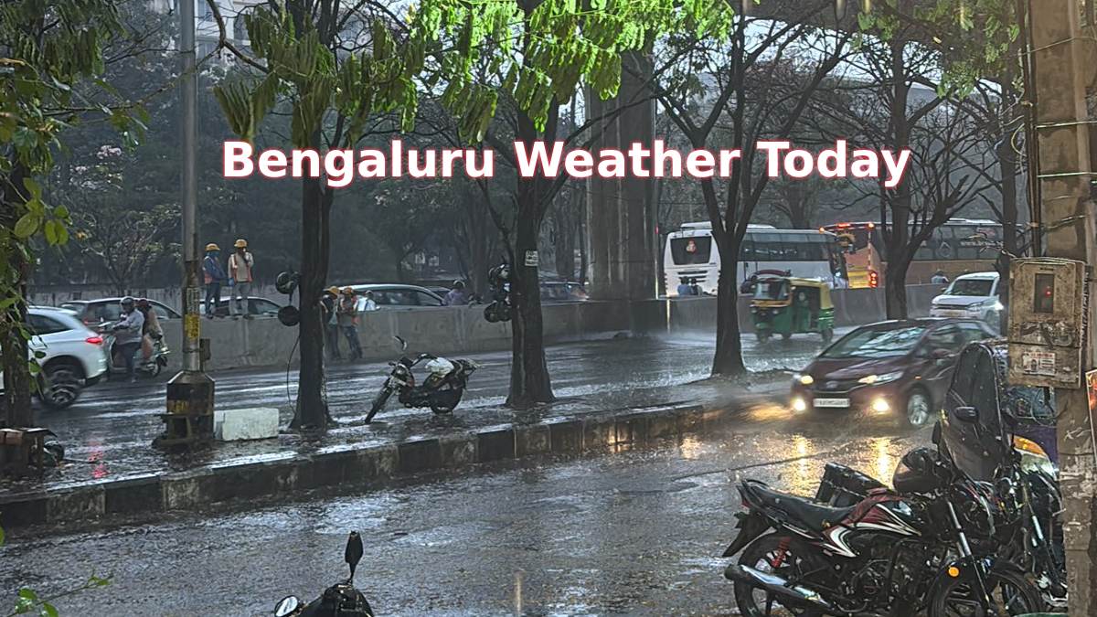 Bengaluru Weather Update: Showers to Continue This Week, IMD Forecast