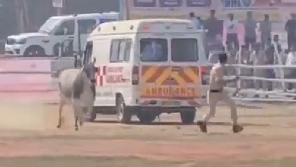 Bull Chase at Begusarai Helipad: Constable’s Quick Reflexes Save the Day | Photo Credit: https://x.com/SouleFacts