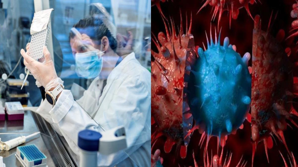 Cicada COVID Variant: New 70+ Mutation Strain Spreads Globally, Should India Worry?