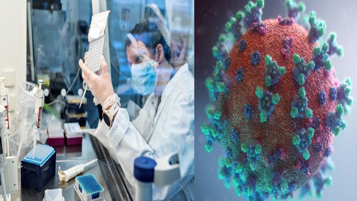 New COVID-19 Variant ‘Cicada’ Spreading Rapidly