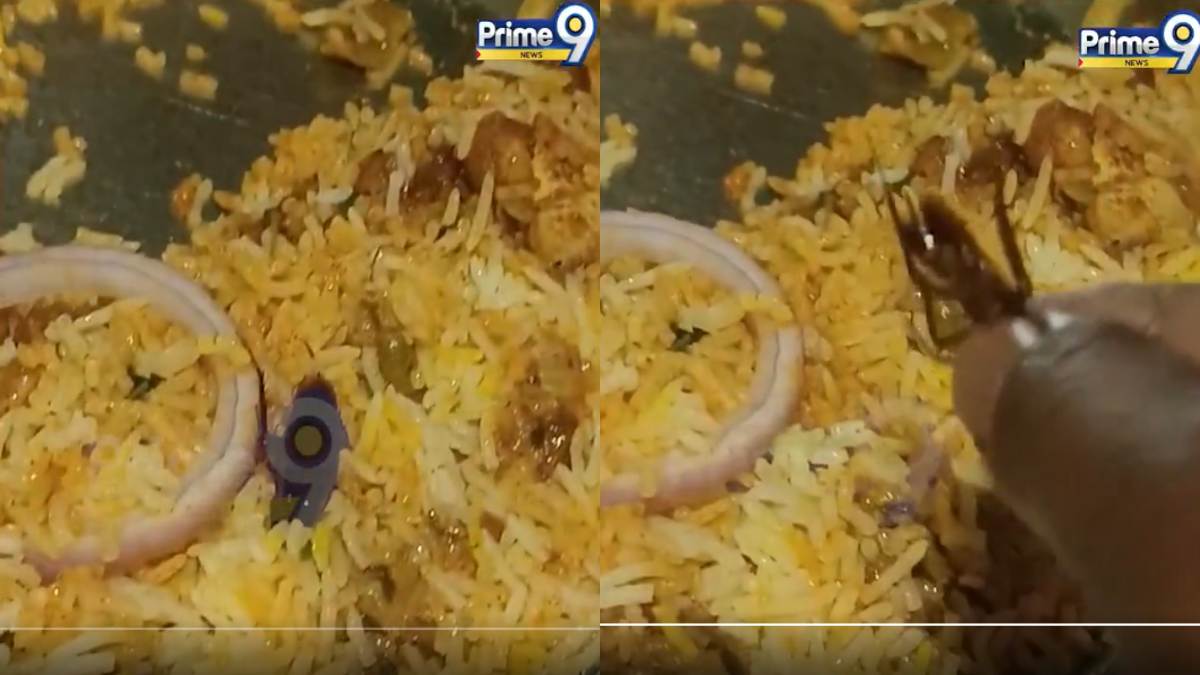 Cockroach Found in Biryani Parcel in Nalgonda; 4 Fall Ill, Complaint Filed
