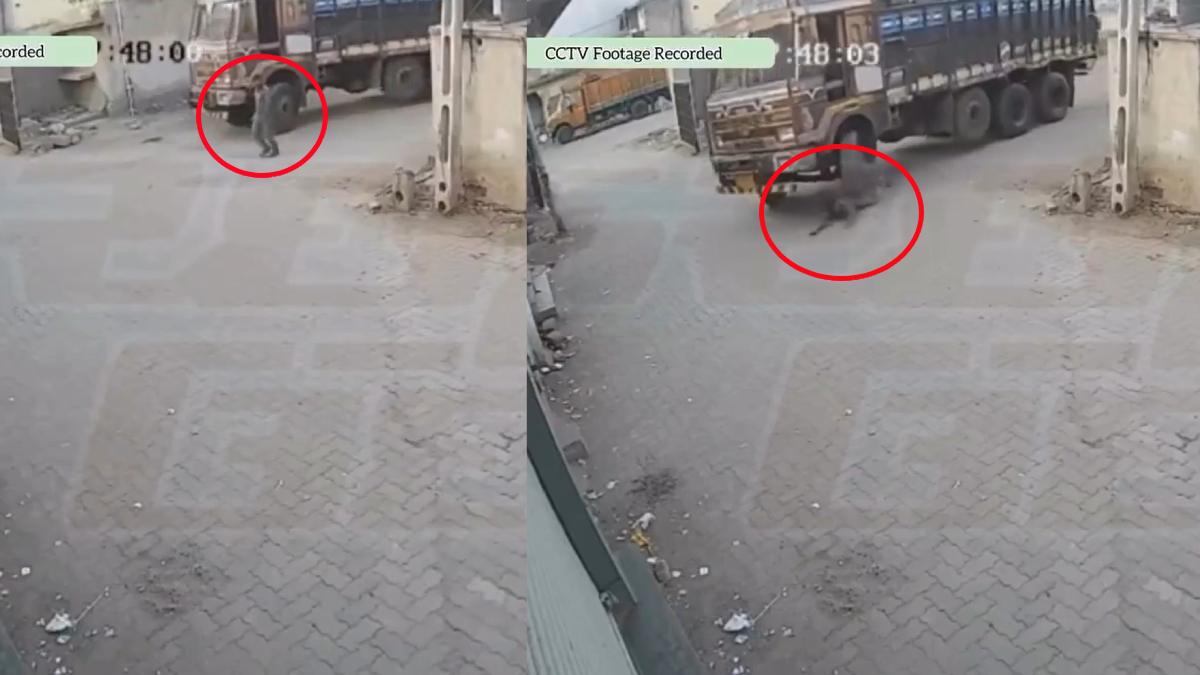 Gujarat Khanna Market Accident: Truck Kills Pedestrian, CCTV Footage Surfaces