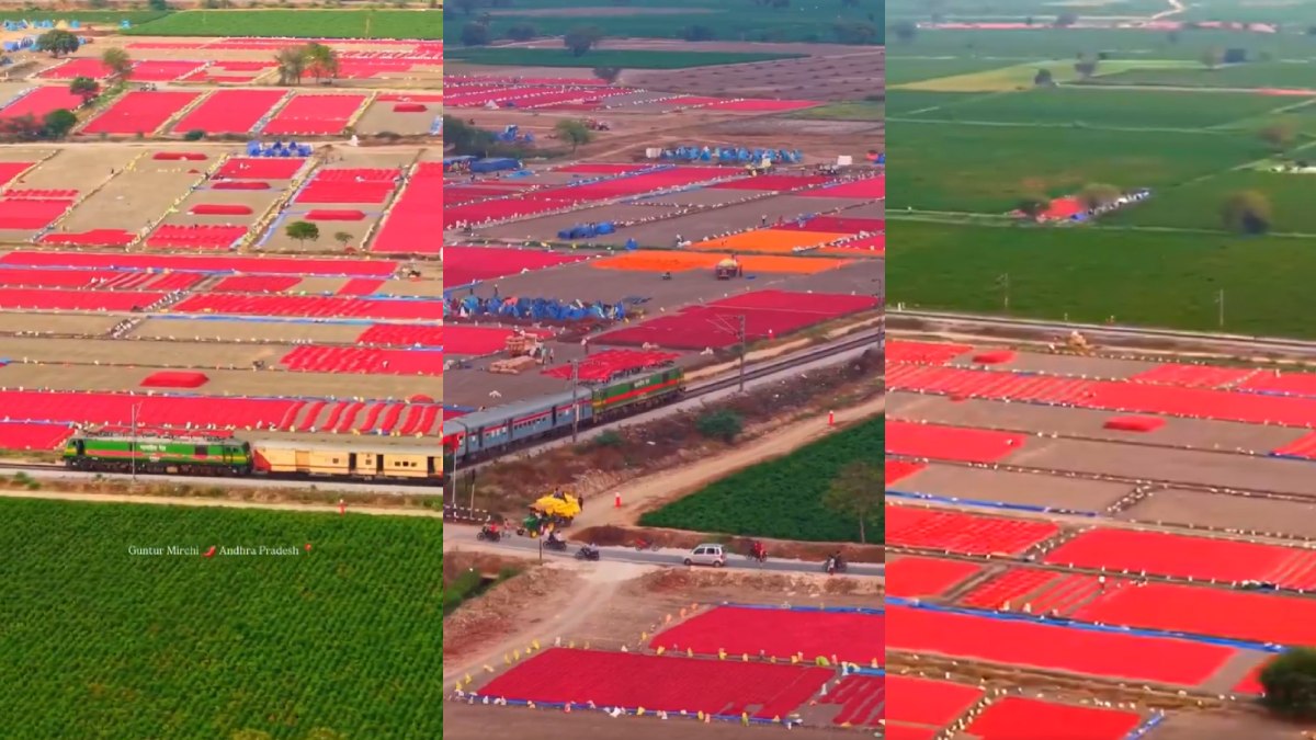 From Fields to Fests: Can Anand Mahindra’s ‘Red Gold’ Vision Turn Guntur into the Holland of India?