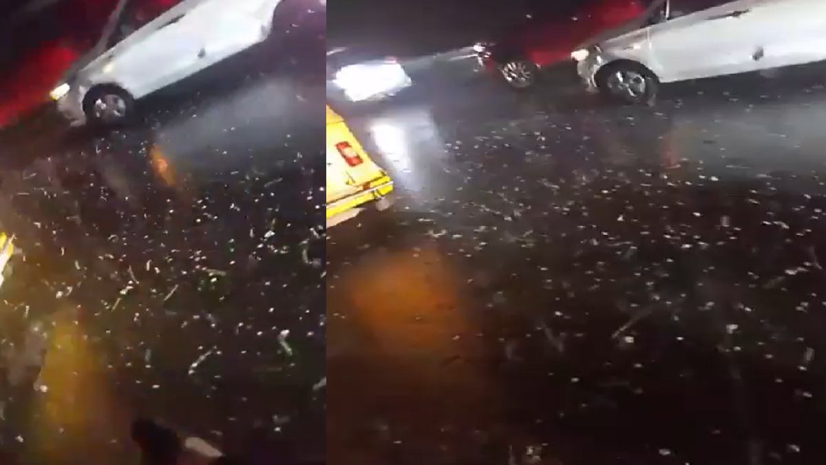 Hyderabad Rains: Hailstorms, Waterlogging Disrupt Traffic – Advisory Issued