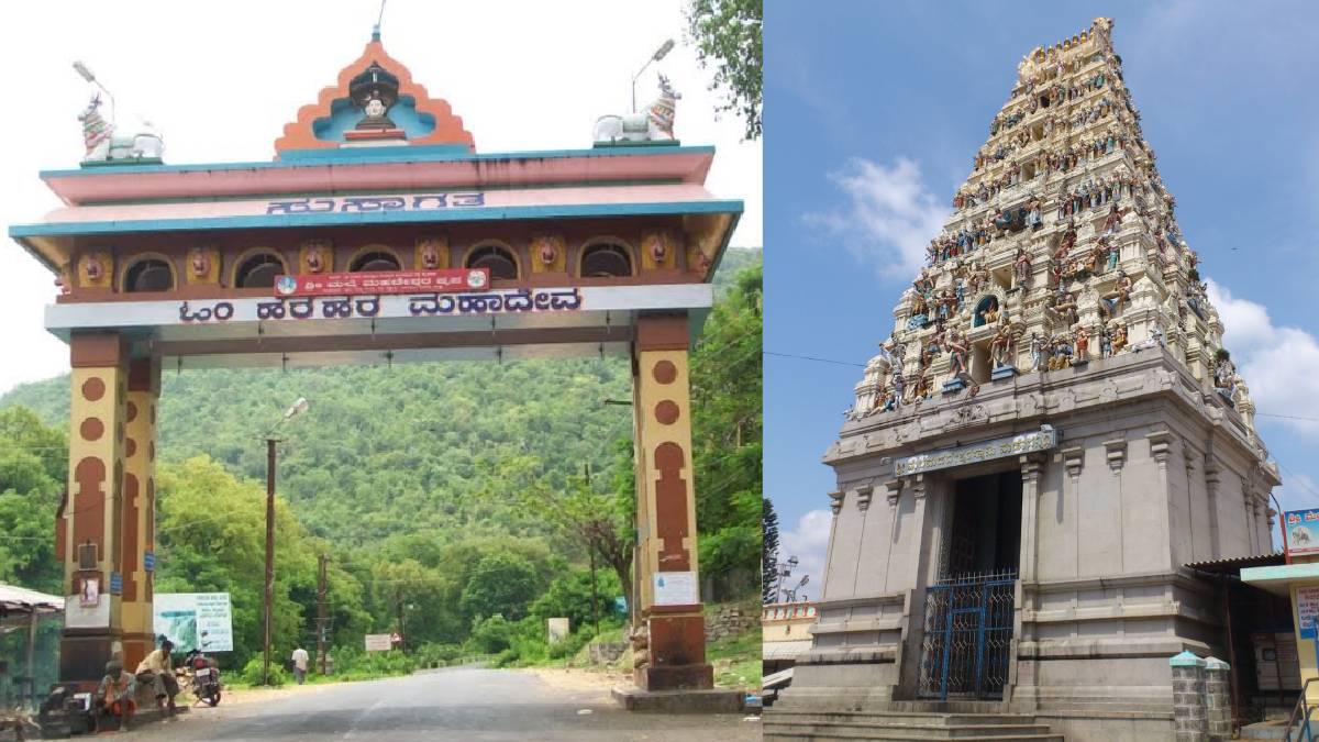 ಕೇವಲ 28 ದಿನಗಳಲ್ಲಿ ಮಲೆ ಮಹದೇಶ್ವರನಿಗೆ ಹರಿದುಬಂತು ಕೋಟಿ ಕೋಟಿ ಕಾಣಿಕೆ - ಇತಿಹಾಸ ಬರೆದ ಬೆಟ್ಟದ ಹುಂಡಿ!!