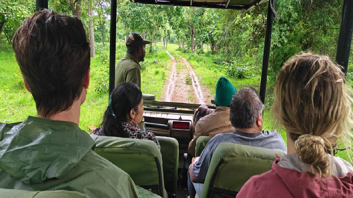 Mannanur Jungle Resort in Nallamala: Eco‑Friendly Gateway to the Wild