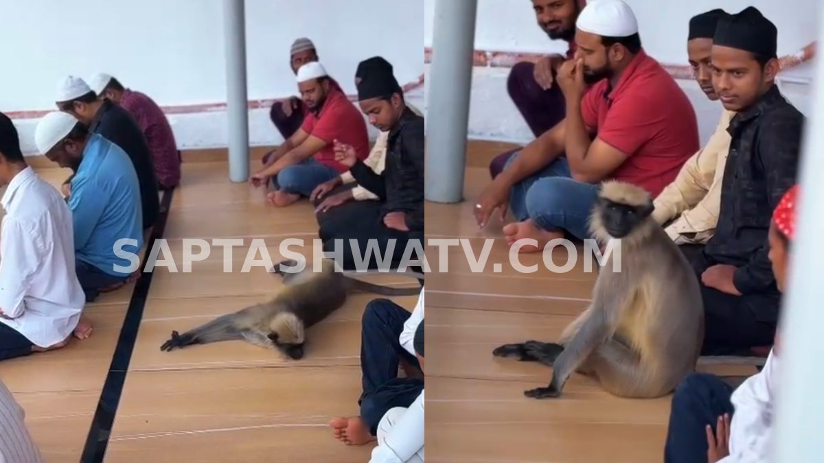 Monkey Joins Namaz at Hubballi Mosque, Viral Video Captures Rare Moment