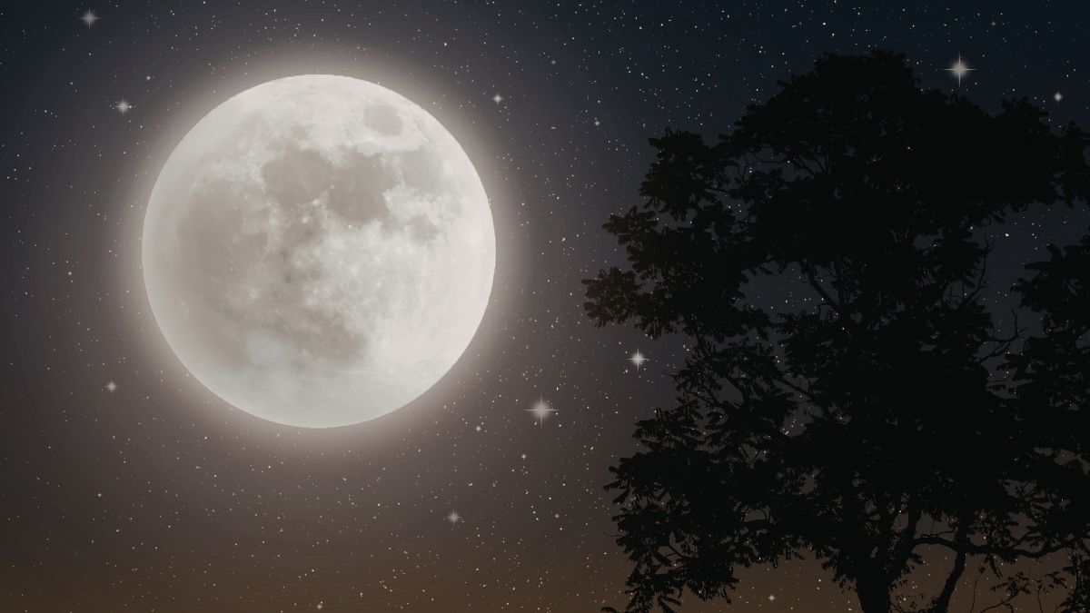 The Shrinking Satellite: What Would Happen to Earth if the Moon Disappeared?