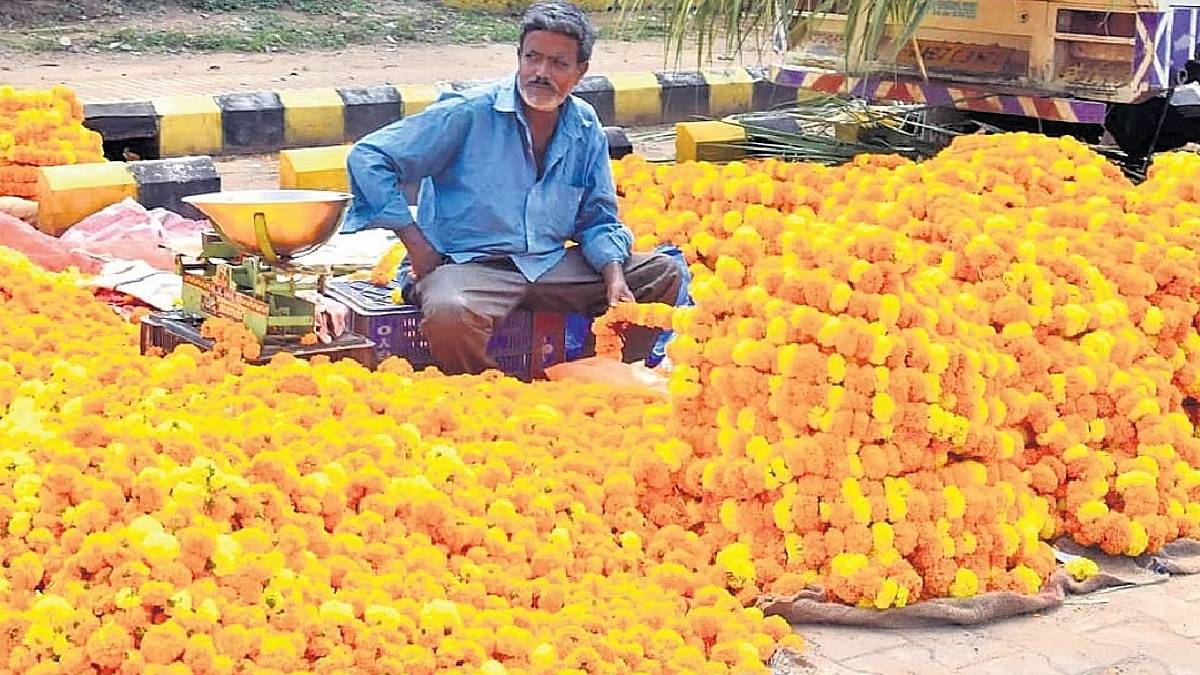 ಗದಗದಲ್ಲಿ ಹೂವಿನ ಬೆಲೆ ಕುಸಿತ, ಬೆಳೆ ನಷ್ಟದಿಂದ ತೀವ್ರ ಆರ್ಥಿಕ ಸಂಕಷ್ಟ