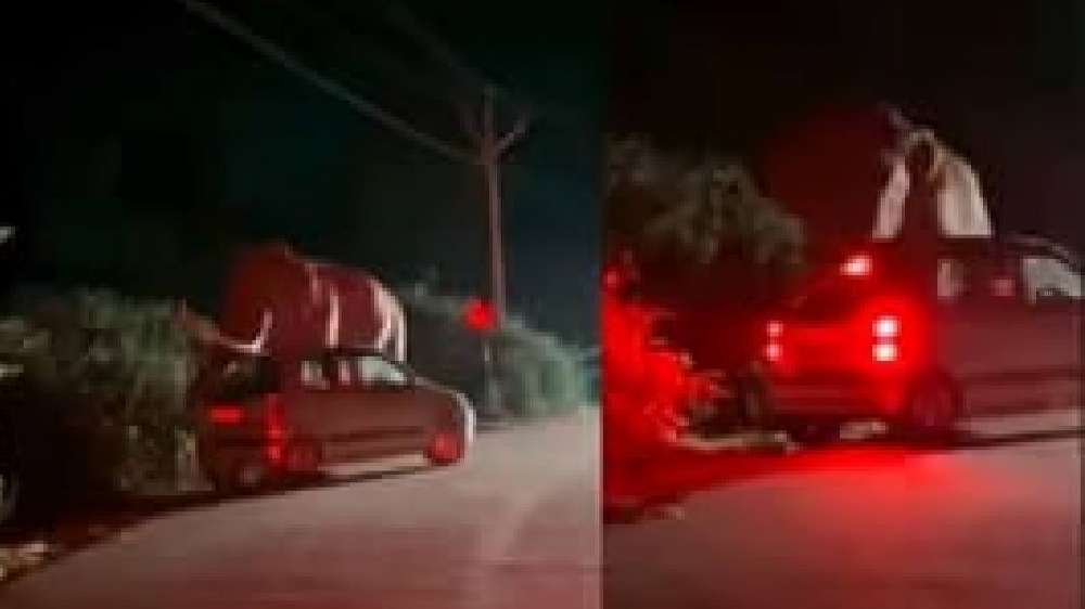 ಸಾವಿನ ದವಡೆಯಿಂದ ಪಾರಾದ ಪ್ರಯಾಣಿಕರು - ಮುನ್ನಾರ್ ರಸ್ತೆಯಲ್ಲಿ ಆನೆ ಪಡಯಪ್ಪ ಸೃಷ್ಟಿಸಿದ ಅನಾಹುತ ಅಷ್ಟಿಷ್ಟಲ್ಲ!!