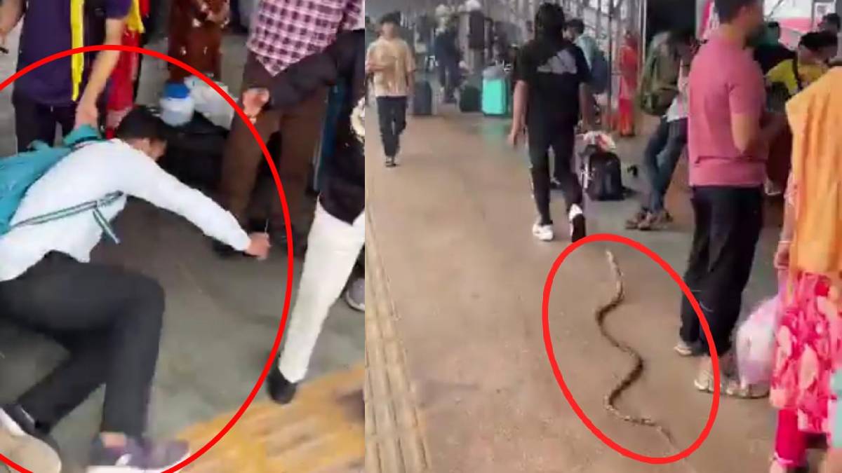 ಲೈಕ್ಸ್‌ಗಾಗಿ ಇನ್ನೆಷ್ಟು ಕೆಳಮಟ್ಟಕ್ಕೆ ಇಳಿಯುವರು? - ರೈಲ್ವೆಯಲ್ಲಿ ಹಾವಿನ ಪ್ರಾಂಕ್ ಮಾಡಿ ಸಿಕ್ಕಿಬಿದ್ದ ಯುವಕ!!