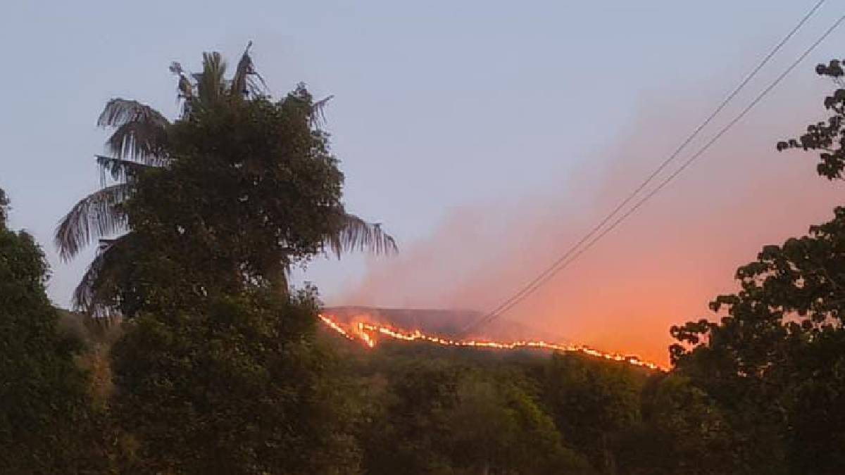 ಪಶ್ಚಿಮ ಘಟ್ಟದ ಪವಿತ್ರ ವನಕ್ಕೆ ಬೆಂಕಿಯ ಕೆಂಡ