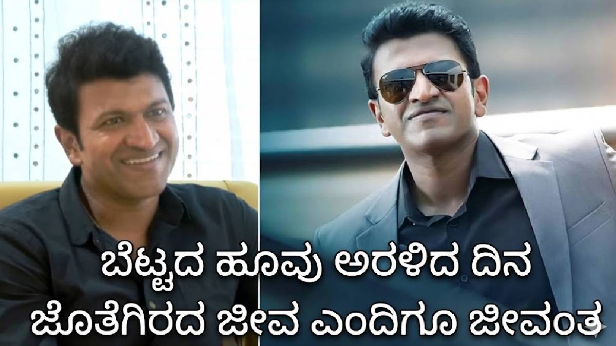 ಕೋಟಿ ಕನ್ನಡಿಗರ ಸ್ಫೂರ್ತಿ 'ಅಪ್ಪು' ಅಮರ - ರಾಜಕುಮಾರನ 51ನೇ ಜನ್ಮದಿನದ ಸಂಭ್ರಮ!!