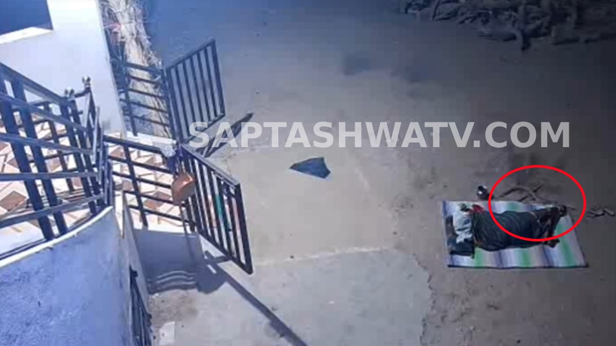 Karnataka: Woman Bitten by 6-Foot Snake While Sleeping Outside House in Raichur