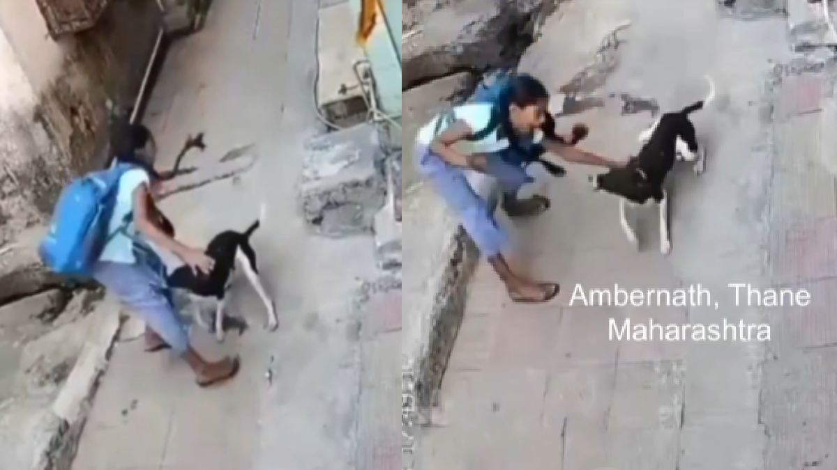 Stray Dog Attack in Ambernath Leaves Child Injured, Citizens Demand Stronger Safety Measures