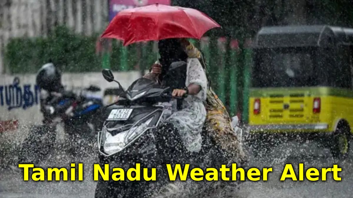 Tamil Nadu Weather Alert: Heavy Rains Drench State, IMD Predicts More Showers Till March 16