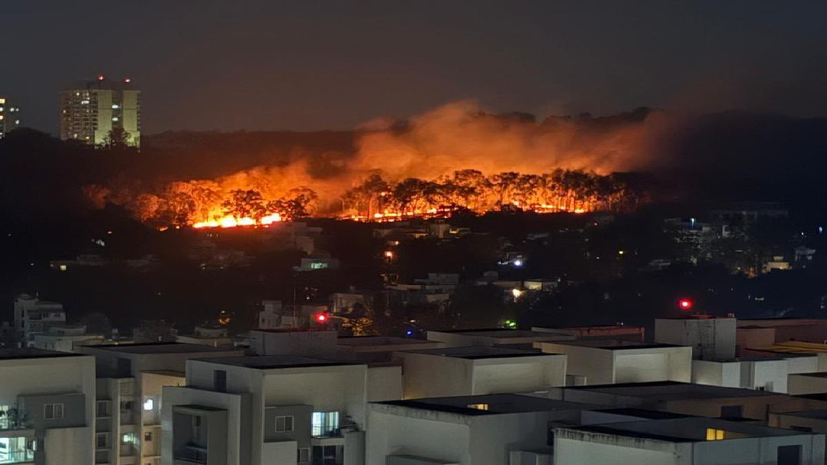 Turahalli Forest Fire: Massive Blaze Hits South Bengaluru
