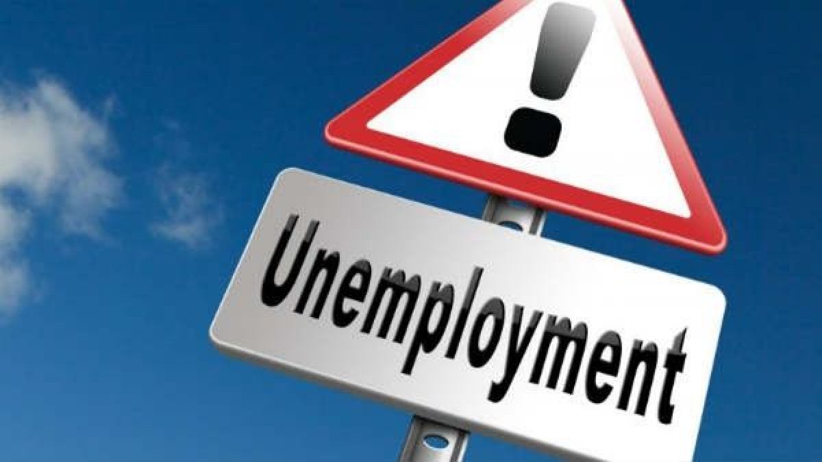 40% Graduates Unemployed: Growing Job Crisis Among Youth