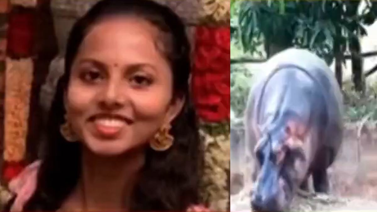 Veterinary Doctor Sameeksha Reddy Killed by Hippopotamus in Shivamogga Zoo