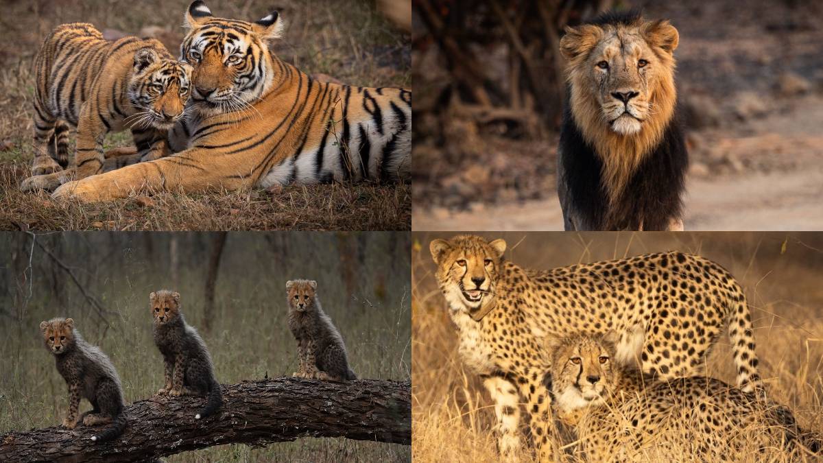 World Wildlife Day: PM Modi’s Call for Conservation and Sustainability