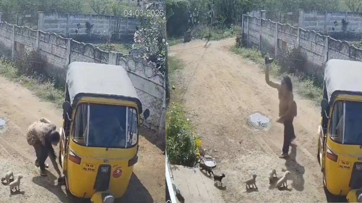 ಮುಗ್ಧ ನಾಯಿಮರಿಗಳ ಮೇಲೆ ಕರುಣೆ ತೋರದ ಮಹಿಳೆ - ಪ್ರಾಣ ತೆಗೆದ ವಿಡಿಯೋ ನೋಡಿ ಕುಪಿತಗೊಂಡ ನೆಟ್ಟಿಗರು!! ವಿಡಿಯೋ;