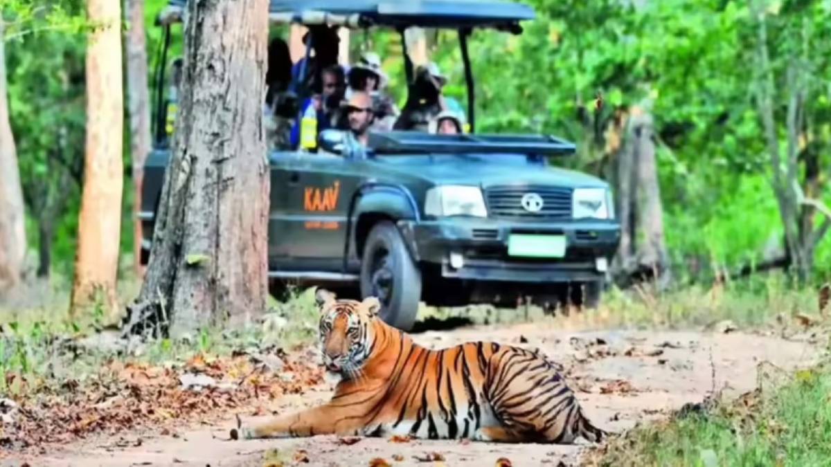 ಬಂಡೀಪುರ-ನಾಗರಹೊಳೆ ಸಫಾರಿ ಸ್ಥಗಿತ!!