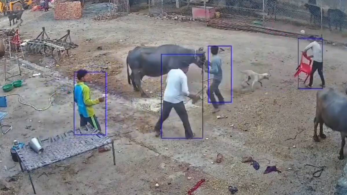 ಸುಮ್ಮನೆ ಕುಳಿತ ಮೂವರ ಮೇಲೆ ಮುಗಿಬಿದ್ದ ದೃಶ್ಯ - ಚಿರತೆಯಂತೆ ಯುವಕನ ಮೈ ಮೇಲೆ ಎಗರಿ ಕಚ್ಚಿದ ಶ್ವಾನ!! ವಿಡಿಯೋ ವೈರಲ್;