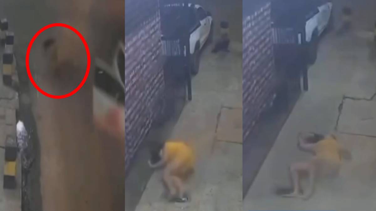 ಯುವತಿಯನ್ನು ಚಲಿಸುವ ಕಾರಿನಿಂದ ರಸ್ತೆಗೆ ಎಸೆದ ಕಾಮುಕರು - ಭಯಾನಕ ಕ್ಷಣದ ವಿಡಿಯೋ ಇಲ್ಲಿದೆ ನೋಡಿ!!