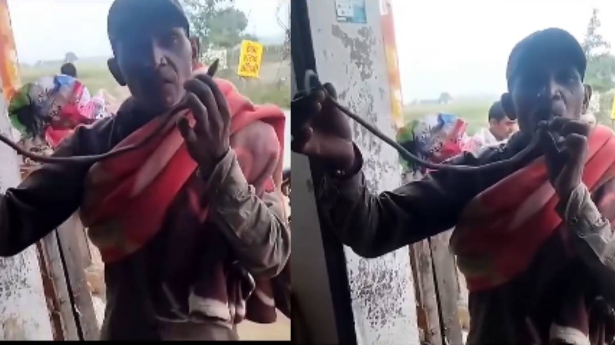 ನಾಗರಹಾವು ಕಚ್ಚಿದ ಕ್ಷಣವೇ ಕುಸಿದುಬಿದ್ದ ಸಾಹಸಿಗ - ರೀಲ್ಸ್ ಮಾಡೋ ಮುನ್ನ ಈ ವಿಡಿಯೋ ನೋಡಿ ಪಾಠ ಕಲಿಯಿರಿ!!