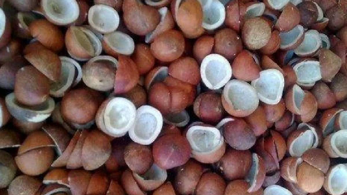 ತಿಪಟೂರು ಕೊಬ್ಬರಿ ಇತಿಹಾಸದಲ್ಲೇ ಬರೆದ ಹೊಸ ದಾಖಲೆ - ಬೆಲೆ ಕೇಳಿದ್ರೆ ನೀವು ದಂಗಾಗ್ತೀರಾ!!