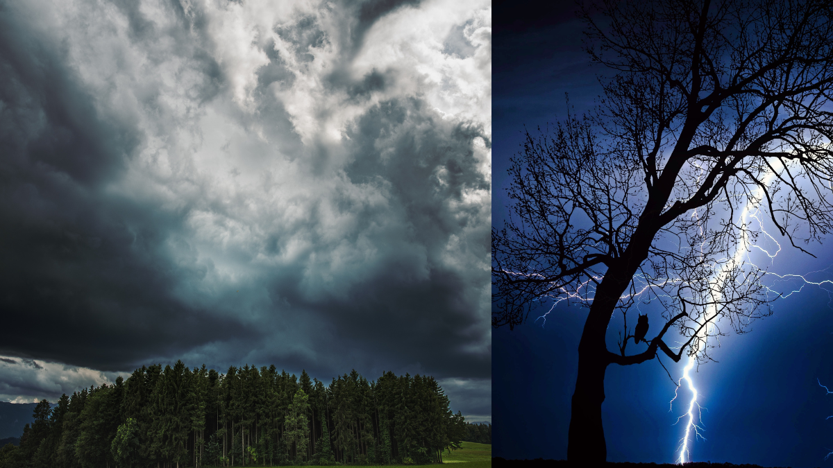 ಮುಂದಿನ 5 ದಿನ ಕರ್ನಾಟಕದ ಈ ಜಿಲ್ಲೆಗಳಲ್ಲಿ ಹೈ ಅಲರ್ಟ್ - ನಿಮ್ಮ ಊರು ಈ ಲಿಸ್ಟ್‌ನಲ್ಲಿ ಇದೆಯೇ ನೋಡಿ!!