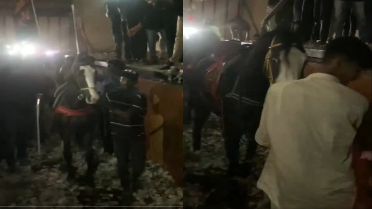 Allu Arjun Fans Bring Horses to Theaters During “Race Gurram” Re-Release, Create Buzz