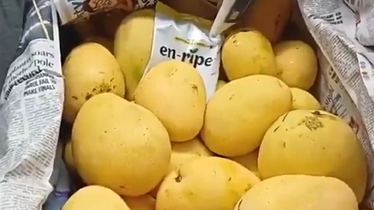 Hyderabad Seizes Chemically Ripened Mangoes: A Warning for Consumers