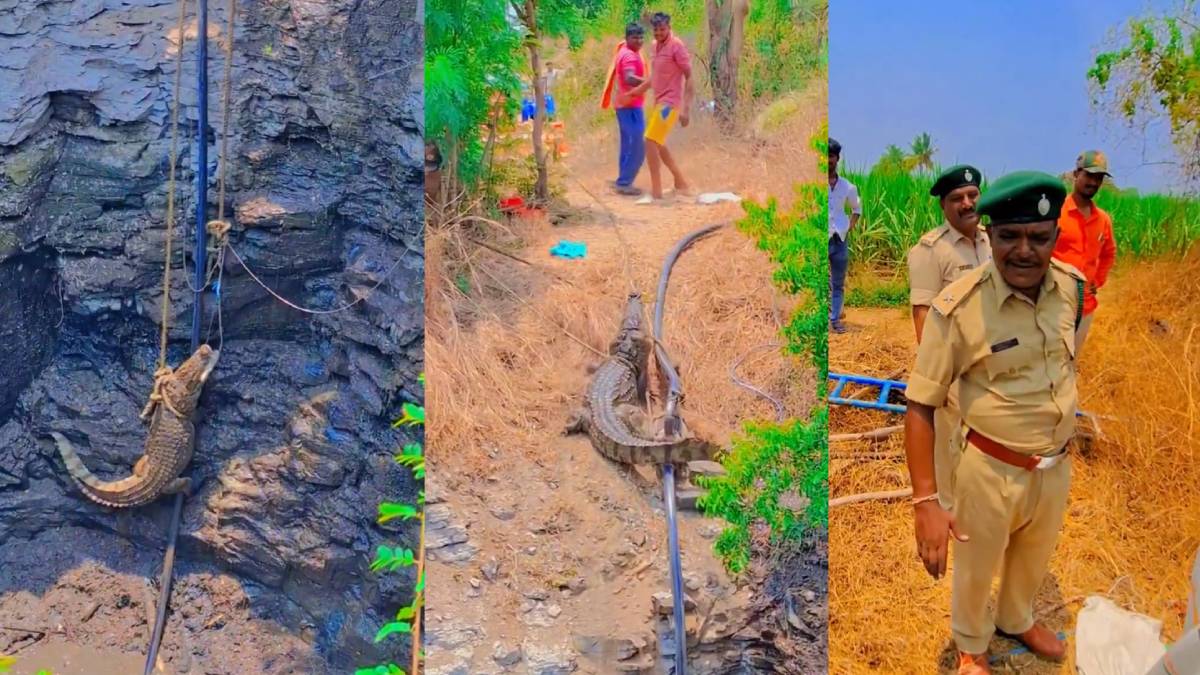 ಉತ್ತರ ಕರ್ನಾಟಕದ ಹಳ್ಳಿಯವರ ಧೈರ್ಯಕ್ಕೆ ಸಲಾಂ; | Photo Credit: https://x.com/sanatan_kannada