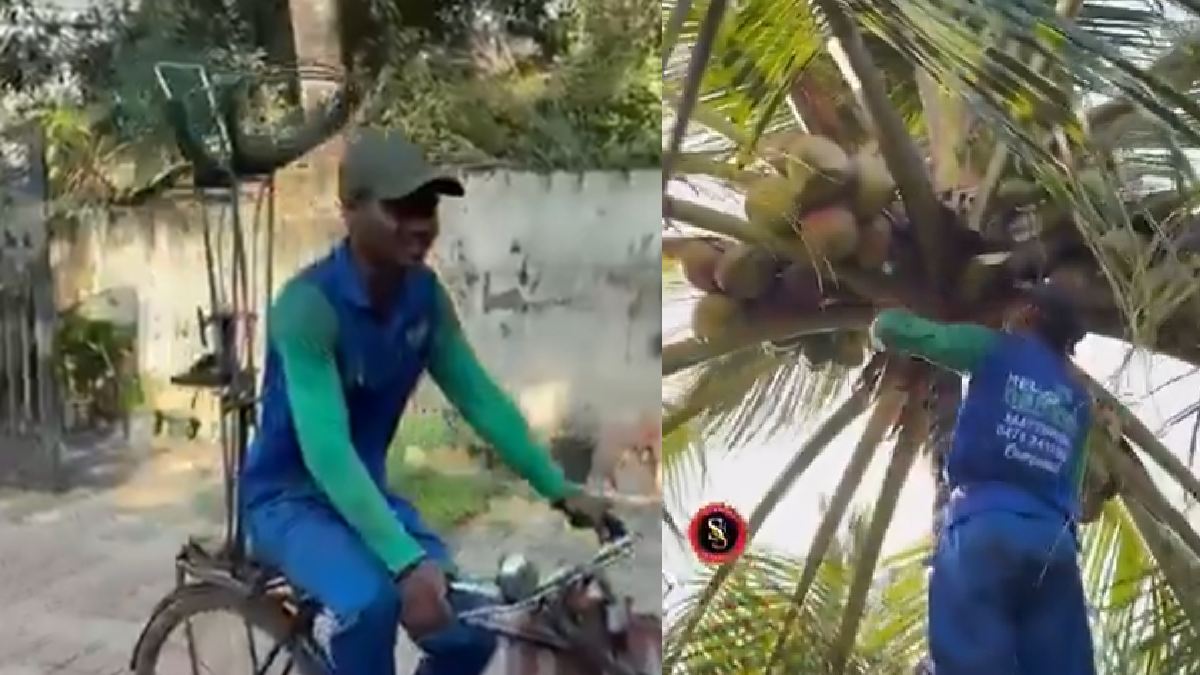 Tech Meets Tradition: Booking a Coconut Harvester in Kerala