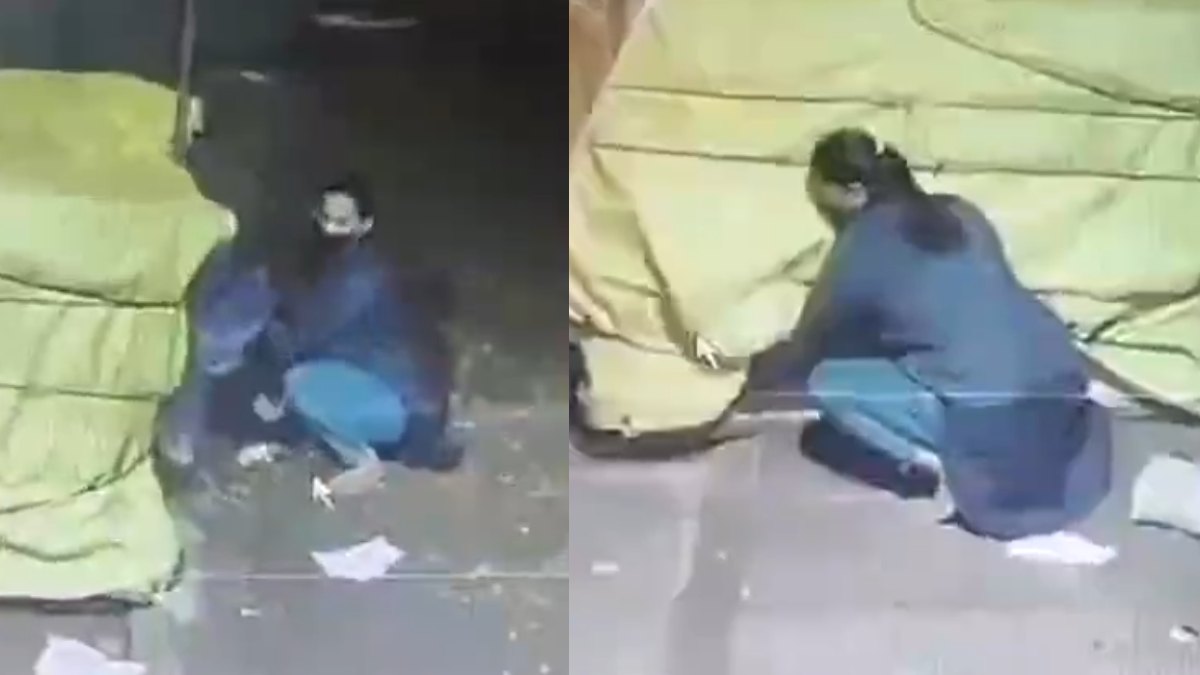 Bengaluru Coconut Theft: Woman Repeats Crime at Nagapura Shop, CCTV Captures Act