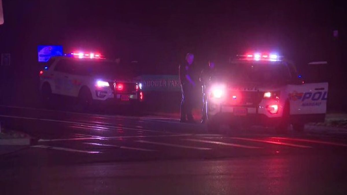 15-Year-Old Shot Dead in Eisenhower Park, Two Suspects Arrested in Shocking US Incident