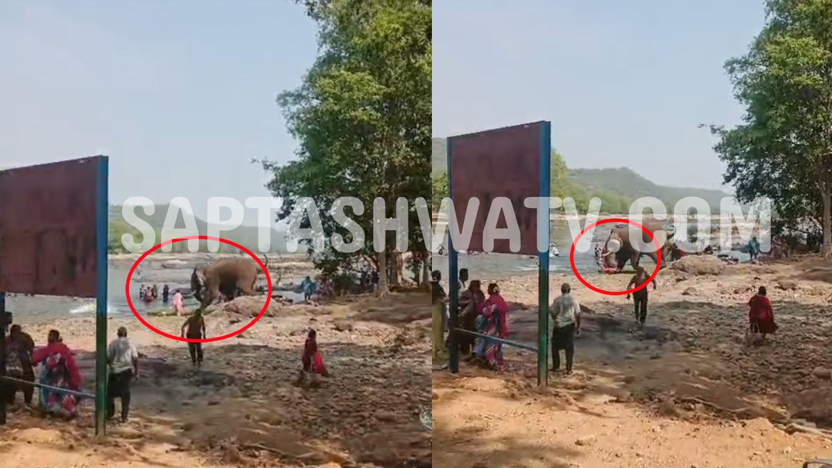 Wild Elephant Attacks Tourists Near Mekedatu in Ramanagara, Woman Injured