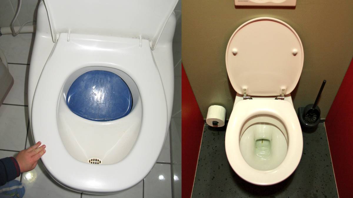 ಜರ್ಮನಿಯ ಟಾಯ್ಲೆಟ್ ಕಥೆ - ಫ್ಲಶ್ ಮಾಡುವ ಮುನ್ನ ಅಲ್ಲಿನವರು ಯಾಕೆ 'ಒಮ್ಮೆ' ನೋಡ್ತಾರೆ? ನಿಮಗೂ ಶಾಕ್ ಆಗುತ್ತೆ!!