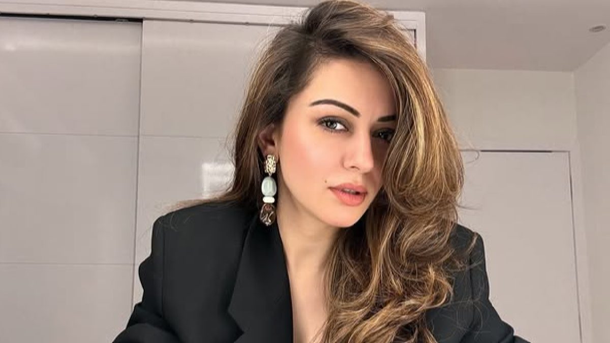 Hansika Motwani Opens Up on Divorce from Sohail Kathuria After Four Years of Marriage