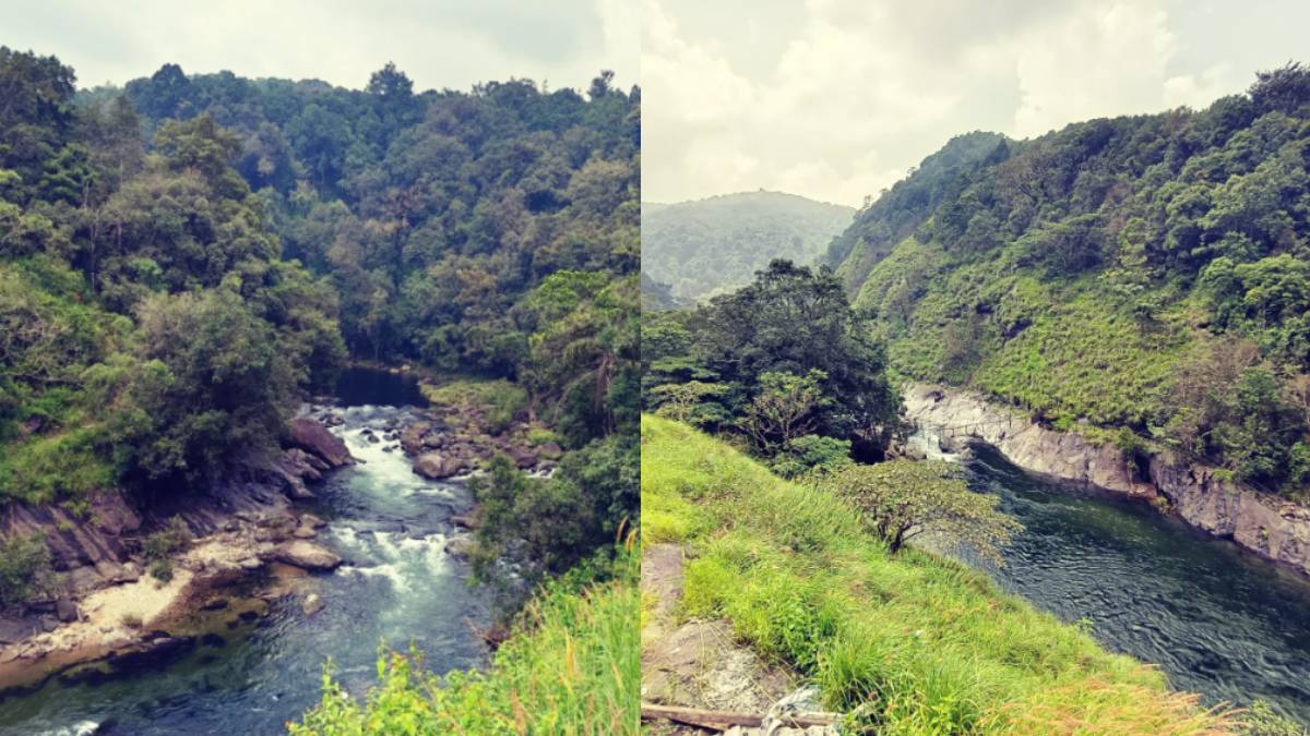 ಪ್ರಕೃತಿ ಪ್ರೇಮಿಗಳ ಪಾಲಿನ ಸ್ವರ್ಗ 'ಕುಂತಿಪುಳ' - ಕೇರಳದ ಈ ಶುದ್ಧ ನದಿಗೆ 'ಸೈಲೆಂಟ್ ರಿವರ್' ಎಂಬ ಹೆಸರು ಬಂದಿದ್ದು ಯಾಕೆ?