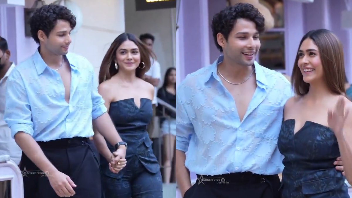 Two Madcaps of the City Netflix Release: Mrunal Thakur & Siddhant Chaturvedi Celebrate Success
