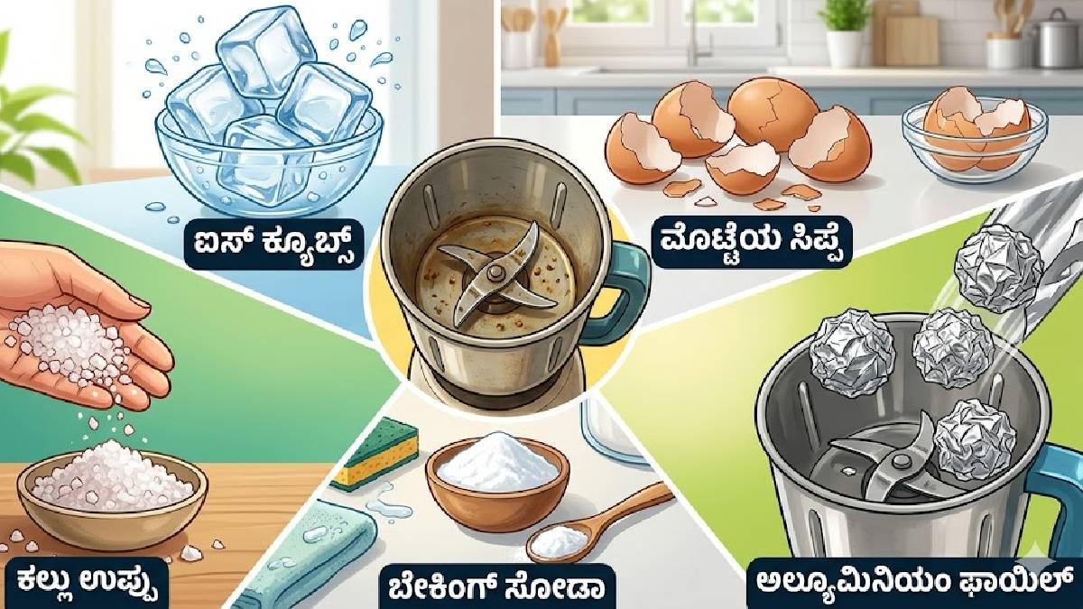 ಮನೆಯಲ್ಲೇ ಮಿಕ್ಸರ್ ಬ್ಲೇಡ್ ಅನ್ನು ಕತ್ತಿಯಂತೆ ಚೂಪುಗೊಳಿಸಿ | Photo Credit: AI