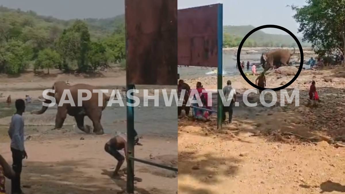 ಮೇಕೆದಾಟುವಿನಲ್ಲಿ ಮೋಜು ಮಾಡಲು ಹೋದವರಿಗೆ ಕಾಡಾನೆ ಶಾಕ್ - ಪ್ರಾಣ ಉಳಿಸಿಕೊಳ್ಳಲು ಪ್ರವಾಸಿಗರ ಓಟ!!