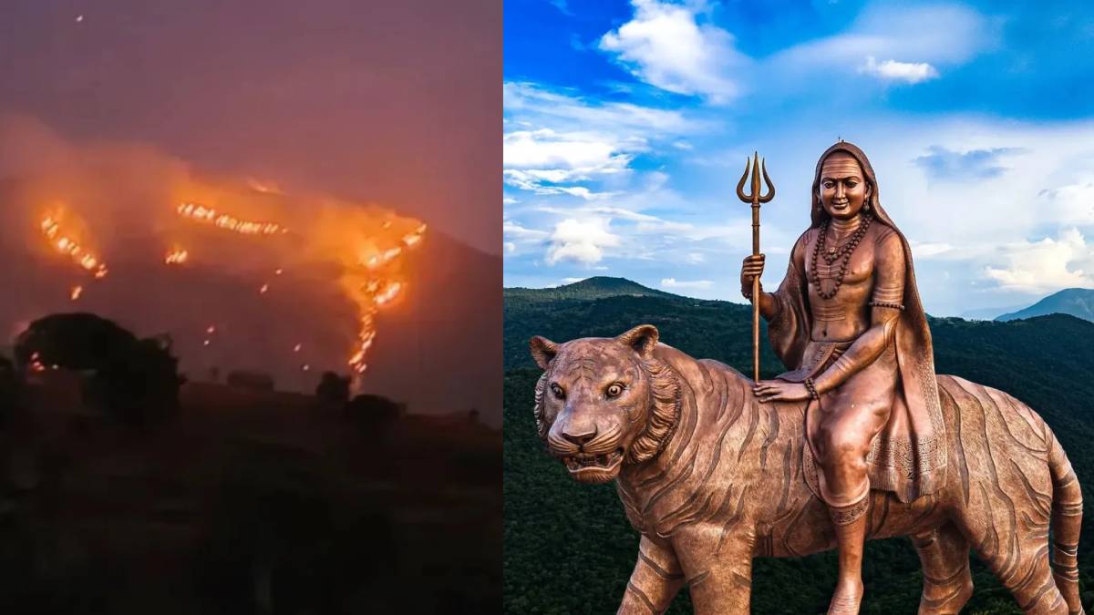 ಮಹದೇಶ್ವರ ಬೆಟ್ಟದ ಕಾಡ್ಗಿಚ್ಚು - ನೂರಾರು ಕೋಟಿ ಮೌಲ್ಯ ಬೆಲೆಬಾಳುವ ವನಸಂಪತ್ತು ನಾಶ!!